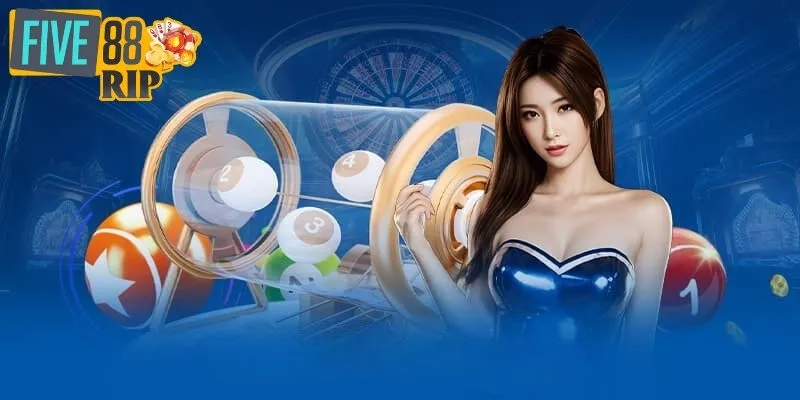 Đánh Đề 4 càng Là Gì? Chia Sẻ Kinh Nghiệm Đánh Đề Luôn Thắng Tỷ lệ trúng đề phụ thuộc vào cách đánh, khu vực
